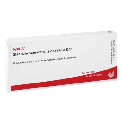 GLANDULA SUPRARENALES dextra GL D 12 ampul, 10X1 ml GLANDULA SUPRARENALES dextra GL D 12 ampul, 10X1 ml