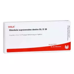 GLANDULA SUPRARENALES dextra GL D 30 ampul, 10X1 ml