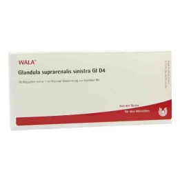 GLANDULA SUPRARENALIS sinistra GL D 4 ampul, 10X1 ml