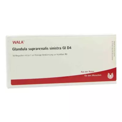 GLANDULA SUPRARENALIS sinistra GL D 4 ampul, 10X1 ml GLANDULA SUPRARENALIS sinistra GL D 4 ampul, 10X1 ml