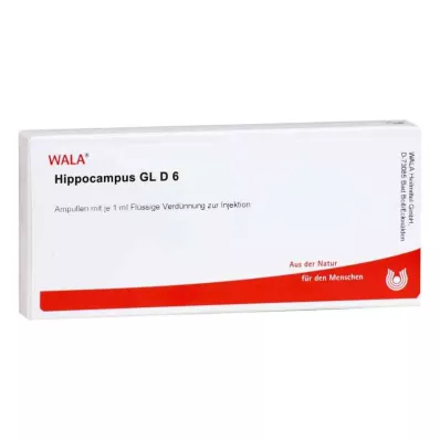 HIPPOCAMPUS GL D 6 ampul, 10X1 ml HIPPOCAMPUS GL D 6 ampul, 10X1 ml