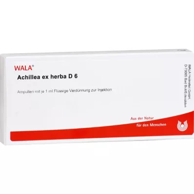 ACHILLEA EX Herba D 6 ampul, 10X1 ml