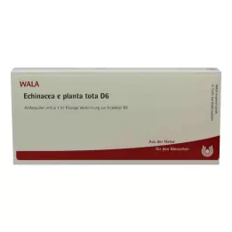 ECHINACEA E planta tota D 6 ampul, 10X1 ml