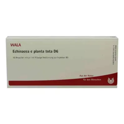 ECHINACEA E planta tota D 6 ampul, 10X1 ml