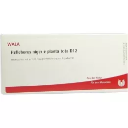 HELLEBORUS NIGER e planta tota D 12 ampul, 10X1 ml