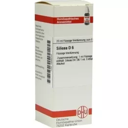 SILICEA D 6 seyreltme, 20 ml