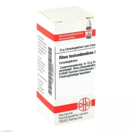 RHUS TOXICODENDRON C 200 globül, 10 g