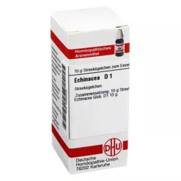 ECHINACEA HAB D 1 globül, 10 g