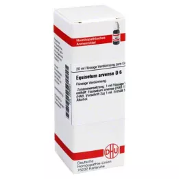 EQUISETUM ARVENSE D 6 seyreltme, 20 ml