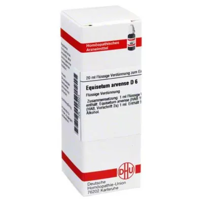 EQUISETUM ARVENSE D 6 seyreltme, 20 ml