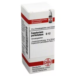 EUPATORIUM PERFOLIATUM D 12 globül, 10 g