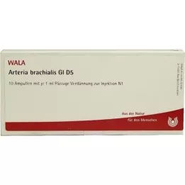 ARTERIA BRACHIALIS GL D 5 ampul, 10X1 ml