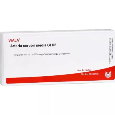 ARTERIA CEREBRI medya GL D 6 ampul, 10X1 ml ARTERIA CEREBRI medya GL D 6 ampul, 10X1 ml