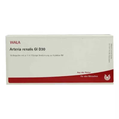 ARTERIA RENALIS GL D 30 ampul, 10X1 ml ARTERIA RENALIS GL D 30 ampul, 10X1 ml
