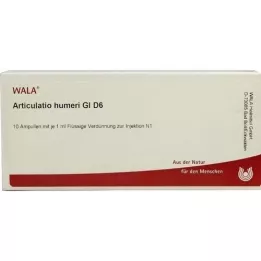 ARTICULATIO humeri GL D 6 ampul, 10X1 ml