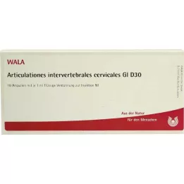 ARTICULATIONES intervertebral.cerv.GL D 30 amp, 10X1 ml
