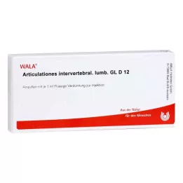 ARTICULATIONES intervertebral.lumb.GL D 12 amp, 10X1 ml