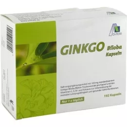 GINKGO 100 mg kapsül+B1+C+E, 192 adet
