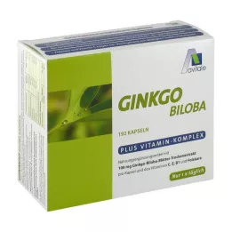 GINKGO 100 mg kapsül+B1+C+E, 192 adet