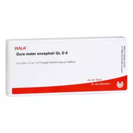 DURA MATER encephali GL D 6 ampul, 10X1 ml