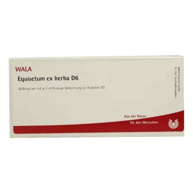 EQUISETUM EX Herba D 6 ampul, 10X1 ml EQUISETUM EX Herba D 6 ampul, 10X1 ml