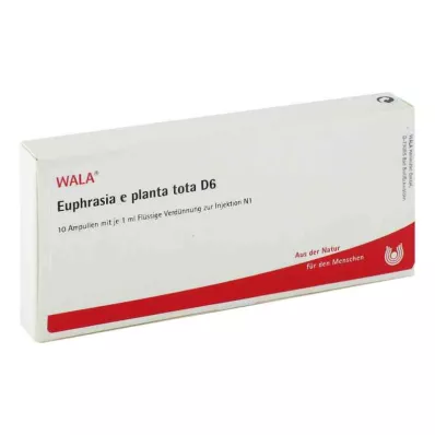EUPHRASIA E planta tota D 6 ampul, 10X1 ml EUPHRASIA E planta tota D 6 ampul, 10X1 ml