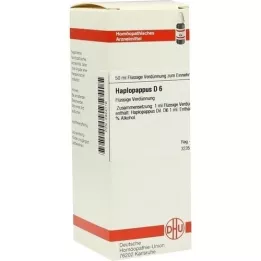 HAPLOPAPPUS D 6 seyreltme, 50 ml