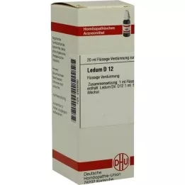 LEDUM D 12 seyreltme, 20 ml