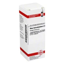 RHUS TOXICODENDRON C 30 seyreltme, 20 ml