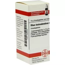 RHUS TOXICODENDRON D 200 globül, 10 g