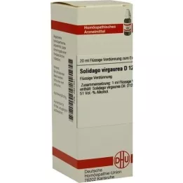 SOLIDAGO VIRGAUREA D 12 seyreltme, 20 ml