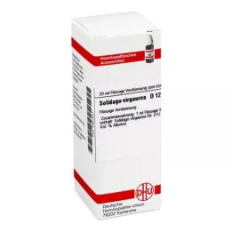 SOLIDAGO VIRGAUREA D 12 seyreltme, 20 ml
