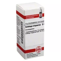 SOLIDAGO VIRGAUREA D 6 globül, 10 g