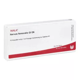 NERVUS FEMORALIS GL D 6 ampul, 10X1 ml