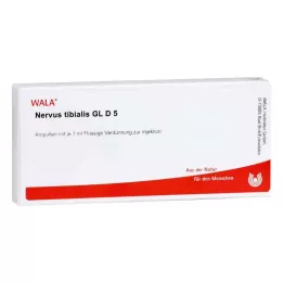 NERVUS TIBIALIS GL D 5 ampul, 10X1 ml
