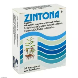 ZINTONA Kapsüller, 20 adet