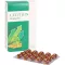 LECITHIN KAPSELN biolog.alsitan, 60 adet