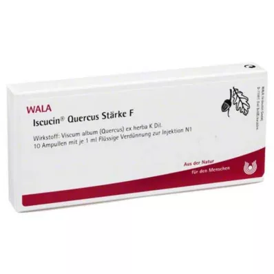 ISCUCIN quercus nişastası F ampuller, 10X1 ml