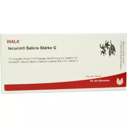 ISCUCIN salicis nişasta G ampulleri, 10X1 ml