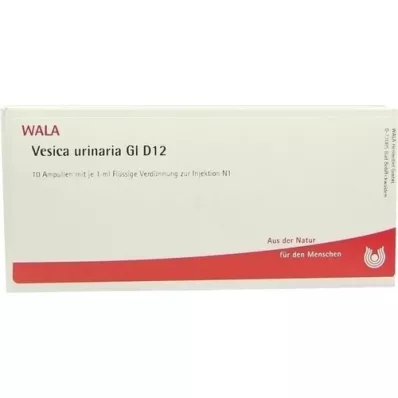 VESICA URINARIA GL D 12 ampul, 10X1 ml