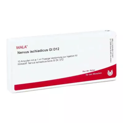 Siyatik sinir Gl D12 ampulleri (10x1 ml)