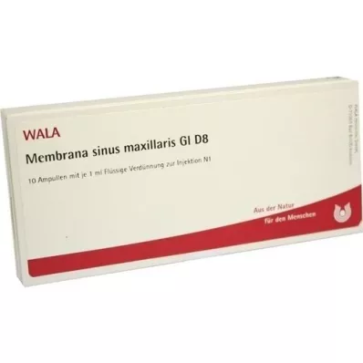 MEMBRANA sinus maxillaris GL D 8 ampul, 10X1 ml