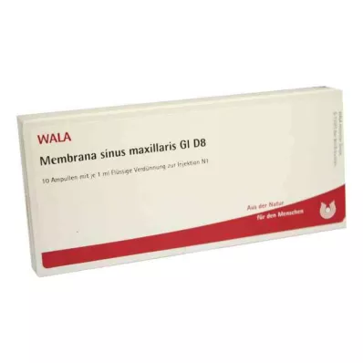 Membrana sinüs maxillaris Gl D8 ampuller (10x1 ml)