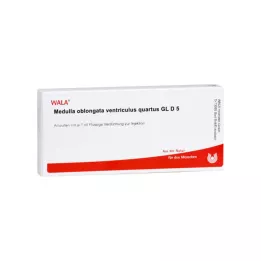 MEDULLA OBLONGATA Ventriculus quartus GL D 5 amp, 10X1 ml