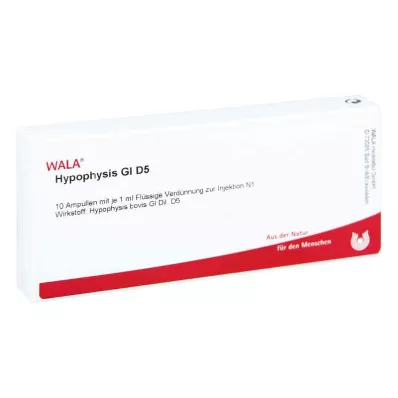 HYPOPHYSIS GL D 5 ampul, 10X1 ml HYPOPHYSIS GL D 5 ampul, 10X1 ml