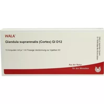 GLANDULA SUPRARENALES korteks GL D 12 ampul, 10X1 ml