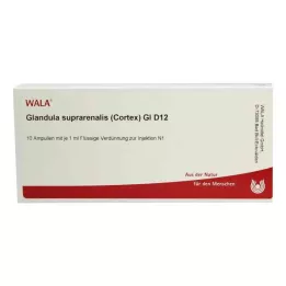 GLANDULA SUPRARENALES korteks GL D 12 ampul, 10X1 ml
