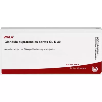 GLANDULA SUPRARENALES korteks GL D 30 ampul, 10X1 ml