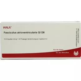 FASCICULUS atrioventricularis GL D 8 ampul, 10X1 ml