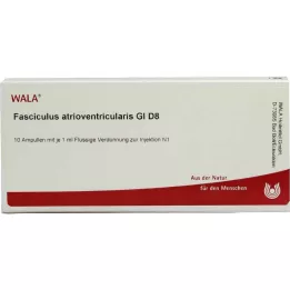 FASCICULUS atrioventricularis GL D 8 ampul, 10X1 ml